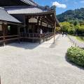 Arashiyama Tour